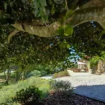 Quinta Do Farfalho