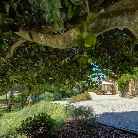 Quinta Do Farfalho