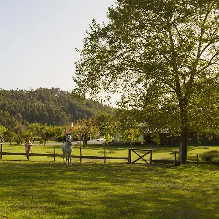 Quinta Do Farfalho * 塞洛里库迪巴什图