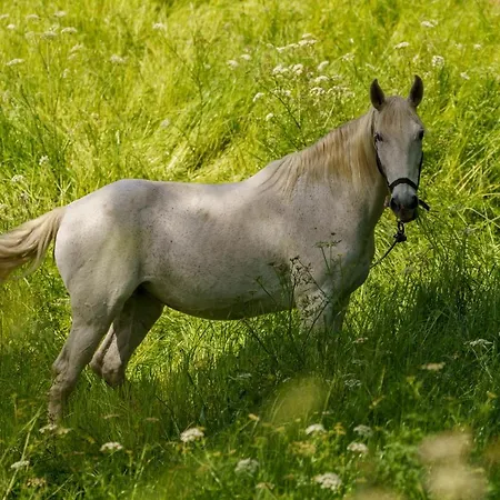 Quinta Do Farfalho * Castelbuono
