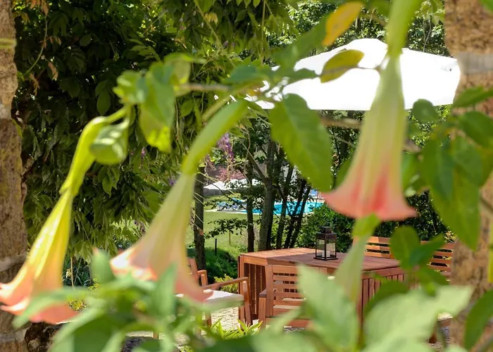 Quinta Do Farfalho Couette-café