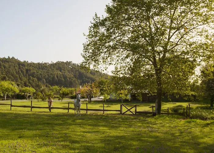 Quinta Do Farfalho * Castelbuono